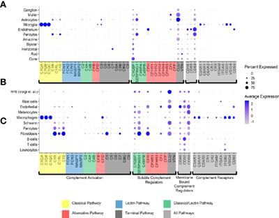 As in Real Estate, Location Matters: Cellular Expression of Complement Varies Between Macular and Peripheral Regions of the Retina and Supporting Tissues